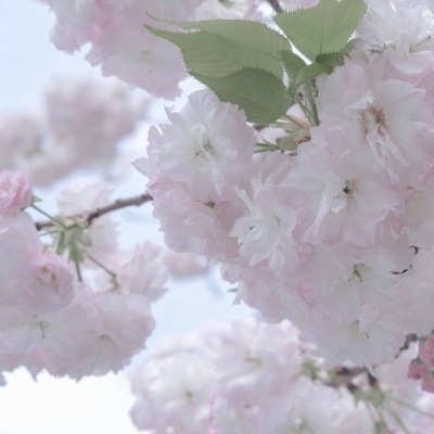 浑源福瑞交流群